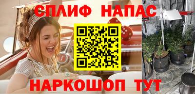 сатива Нальчик