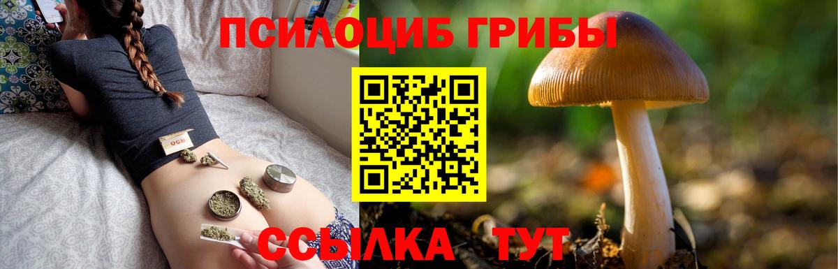Псилоцибиновые грибы мицелий  Галлюциногенные грибы Psilocybe  Вход с VPN  Великие Луки 